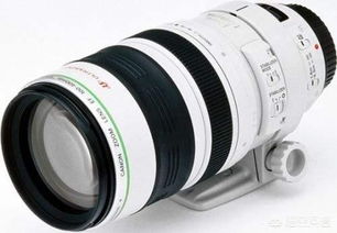 佳能5D4打鸟配什么镜头？从专业到普通数码相机的选择指南